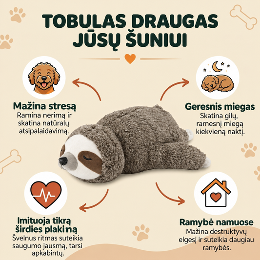 Pliušinis tinginys su širdies plakimo funkcija
